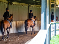 NH030523-25 - Nicky Henderson Stable Visit